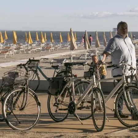 Sunny Beachside In Grado