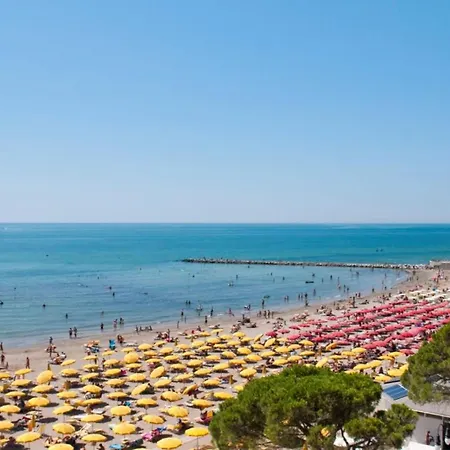 Sunny Beachside In *