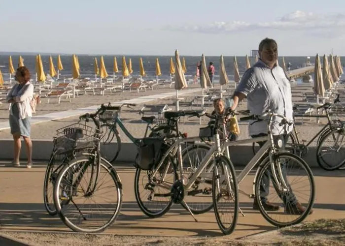 Sunny Beachside In Grado