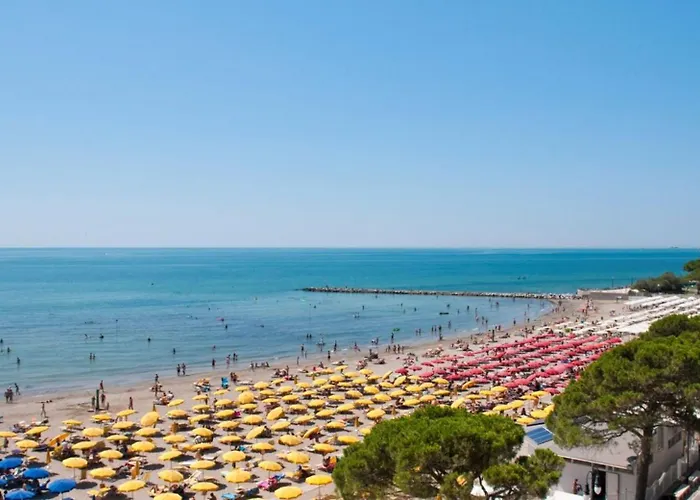 Sunny Beachside In *